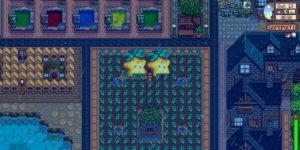Starfruit-Farm