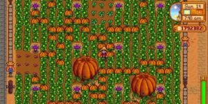 Pumpkin-Farm