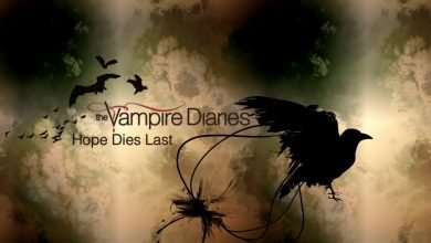 Photo of Stephen and Damon – The Vampire Diaries