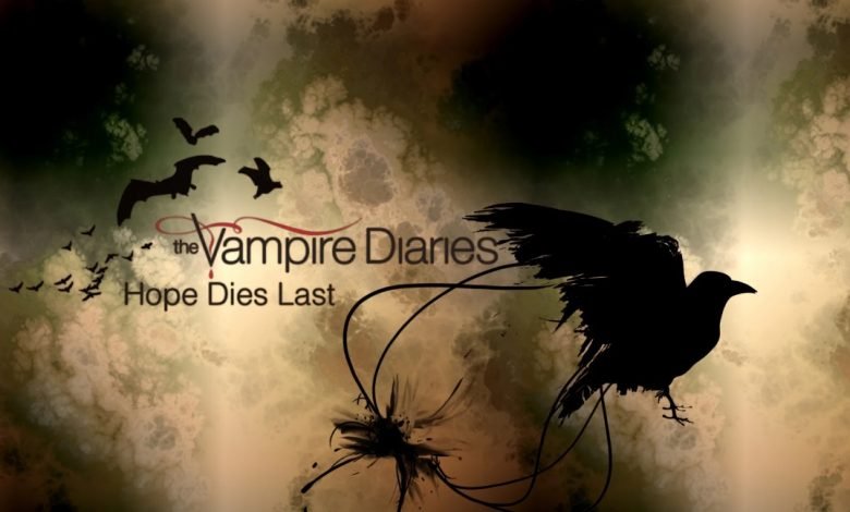 Stephen and Damon - The Vampire Diaries